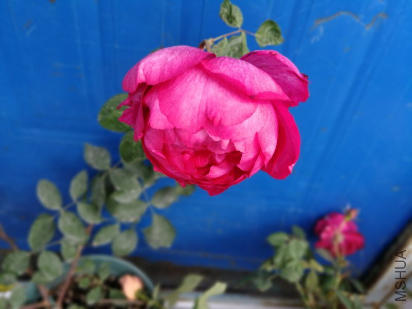 ΢��ͼƬ_20181224200038.jpg
