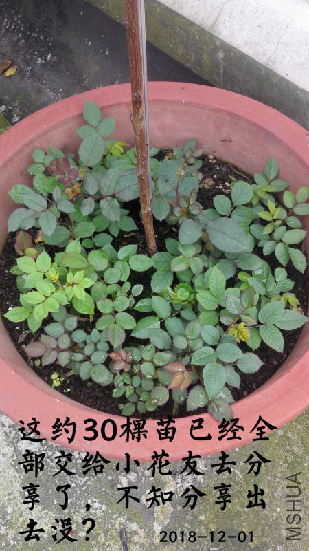 ΢��ͼƬ_20181225003315.jpg