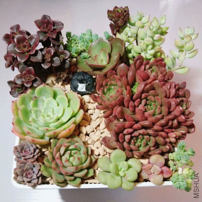 QQͼƬ20181223204053.jpg