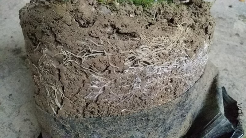 wx_camera_1542256463451.jpg