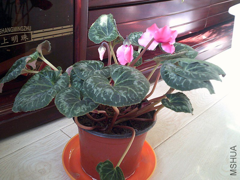 DSCF0001 (4)_����.jpg