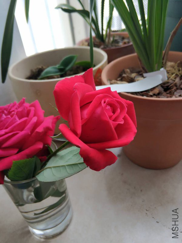 ΢��ͼƬ_20190104153004.jpg