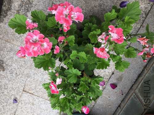 3E3577BE-BCF8-4010-8D46-99CE29EE85C5.jpeg