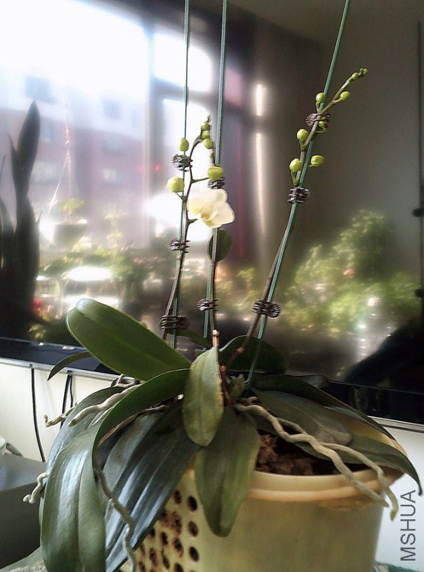 DSCF0002_����.jpg