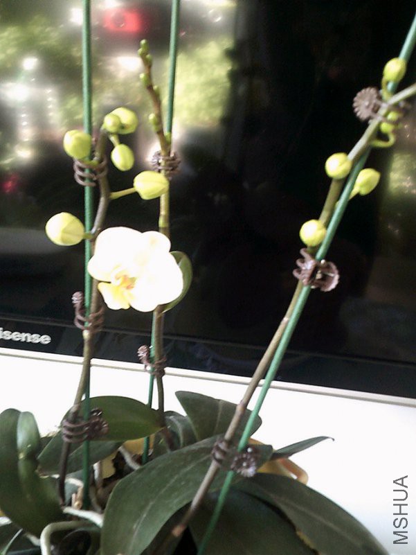 DSCF0003_����.jpg