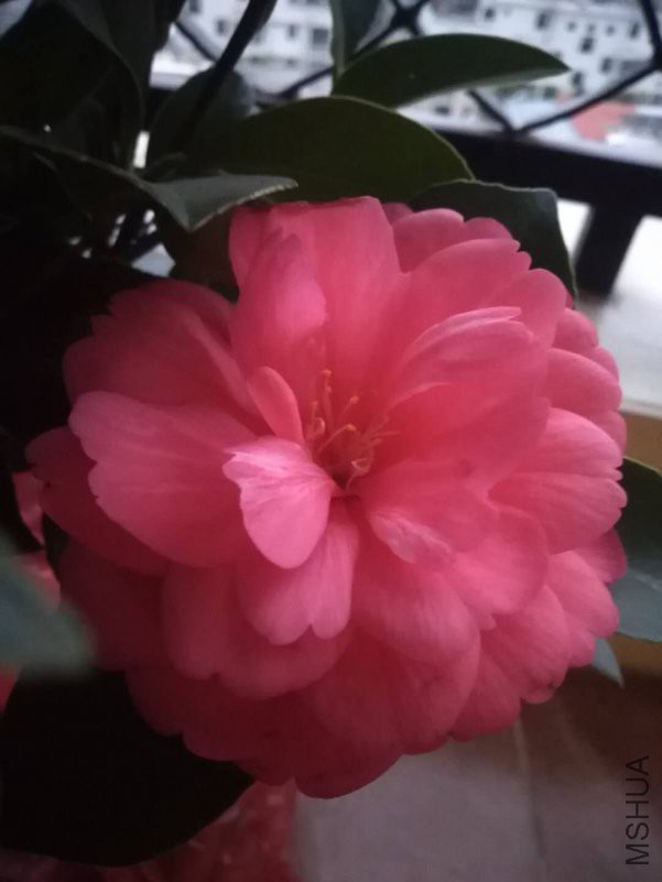 ΢��ͼƬ_20190110191301.jpg