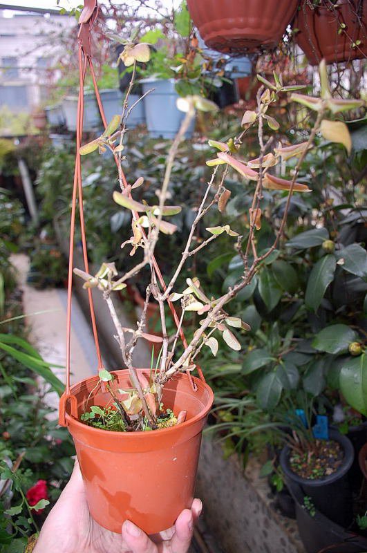 DSC_35910073.JPG
