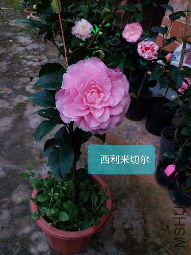 20181223_231345.jpg