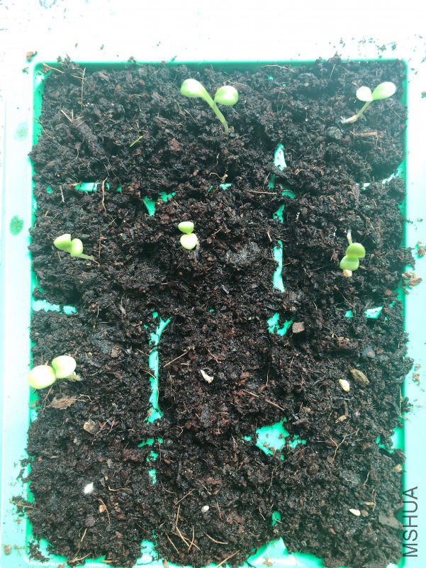 E11E0640EAC193A458DB3B4A2F2E2399 (2).jpg