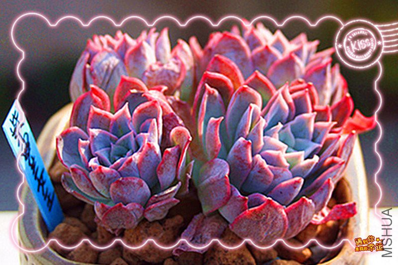 ��Ƭ 189_����_.jpg