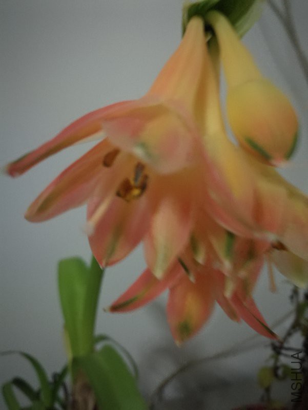 IMG_20190113_172529.jpg