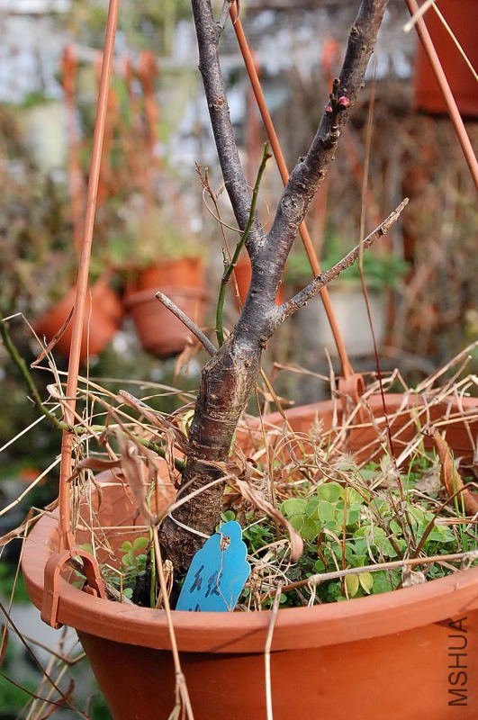 DSC_39100189.JPG