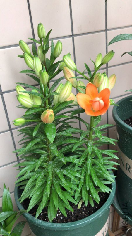΢��ͼƬ_20190114111832.jpg