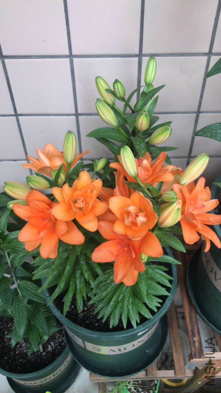 ΢��ͼƬ_20190114111840.jpg