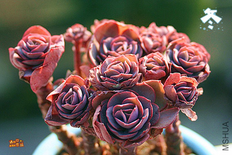 ��Ƭ 172_����_����.jpg