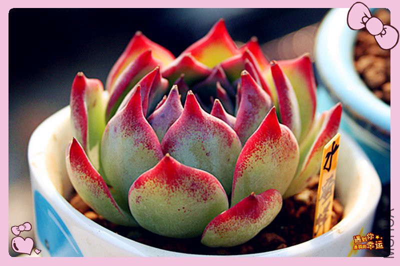 ��Ƭ 177_����_����.jpg