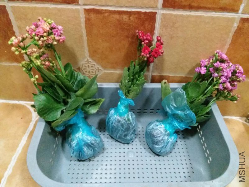 ΢��ͼƬ_20190117092051.jpg