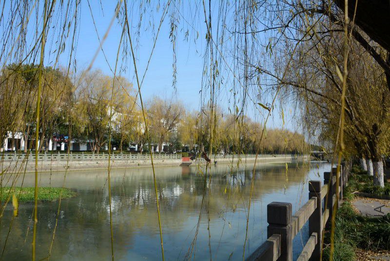 DSC_14010024.JPG