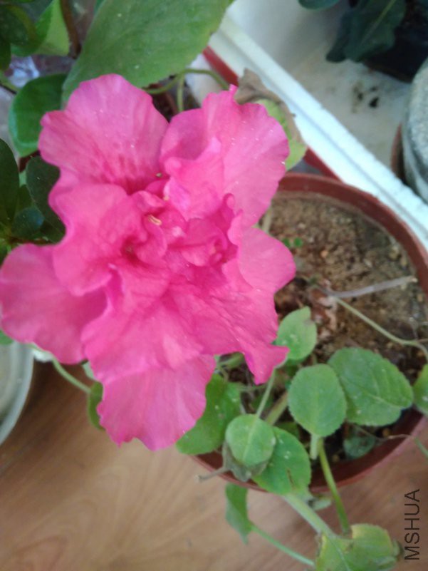 IMG_20190120_153056.jpg