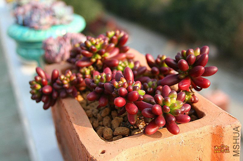 ��Ƭ 232_����.jpg