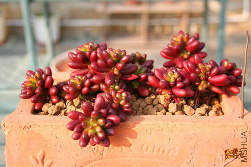 ��Ƭ 228_����.jpg