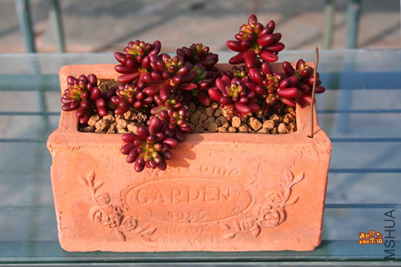 ��Ƭ 225_����.jpg