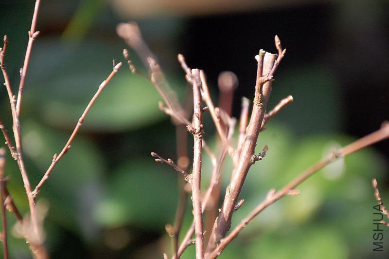 DSC_57410236.JPG