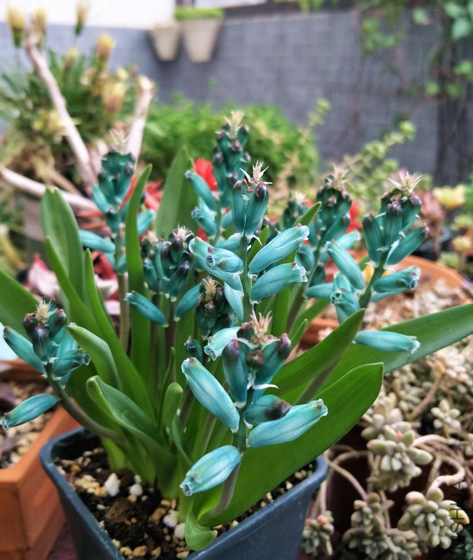 IMG20190104153053.jpg