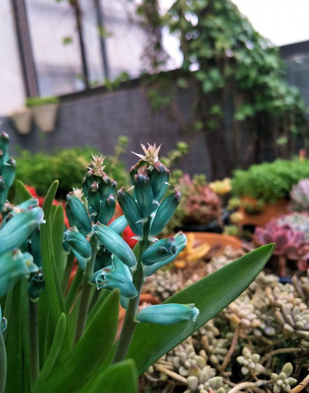 IMG20190104153557.jpg