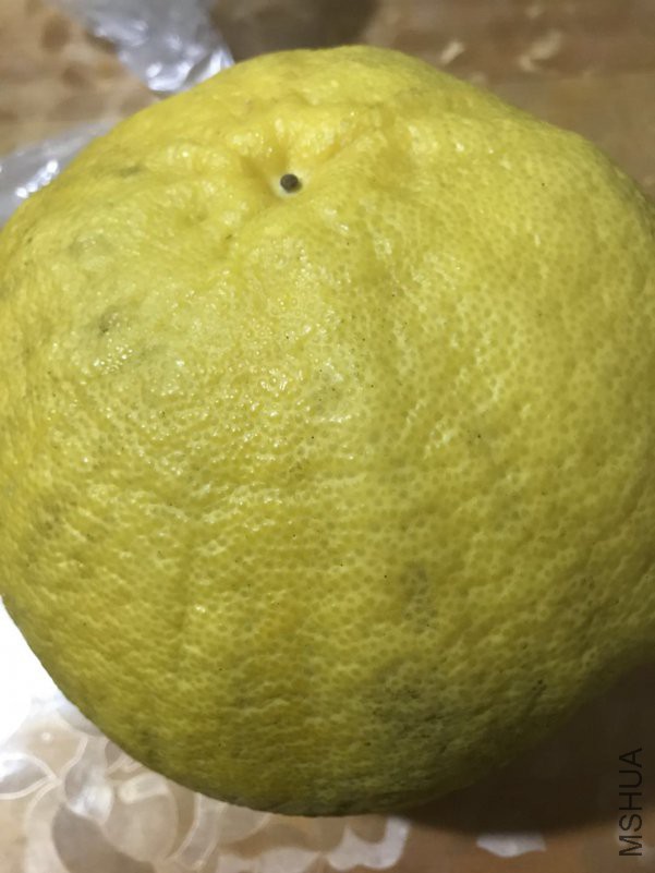 ΢��ͼƬ_201901222316083.jpg