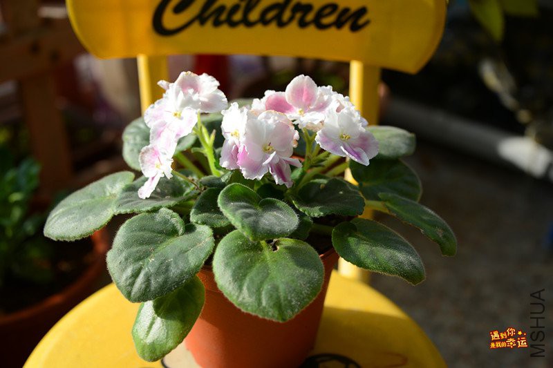 ��Ƭ 024_����.jpg