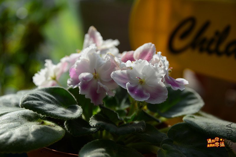 ��Ƭ 028_����.jpg