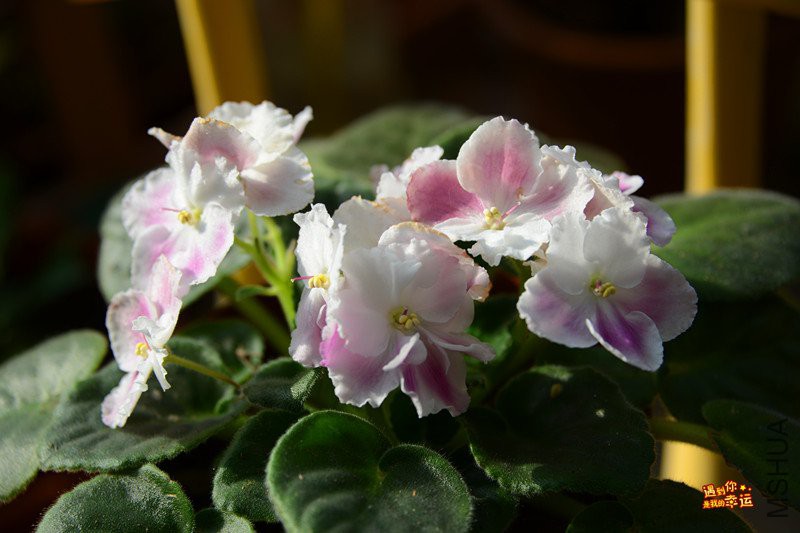 ��Ƭ 027_����.jpg