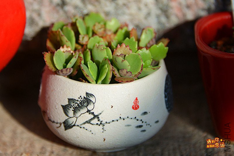 ��Ƭ 068_����.jpg