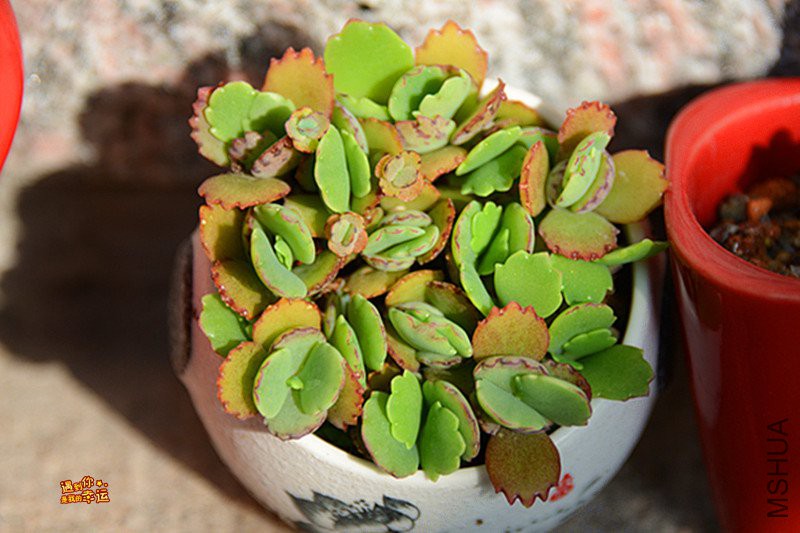 ��Ƭ 070_����.jpg