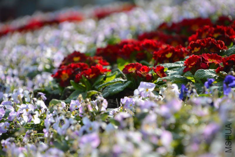 DSC_20780109.JPG