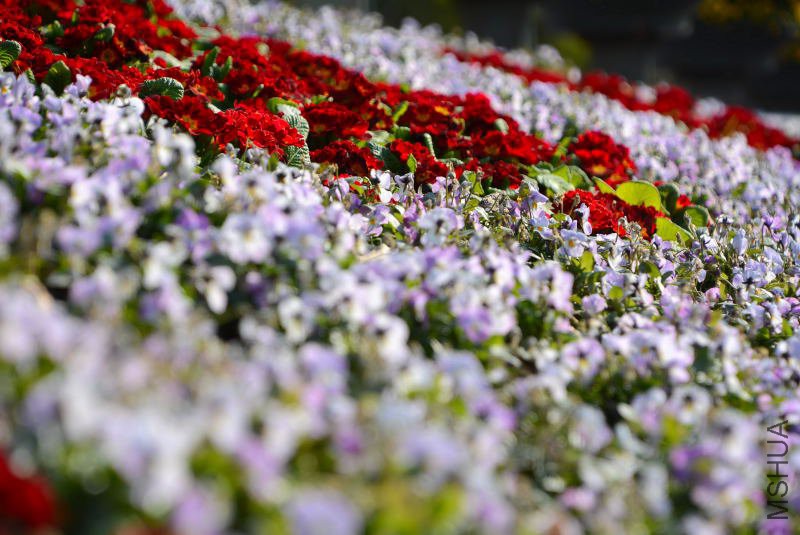 DSC_21100141.JPG