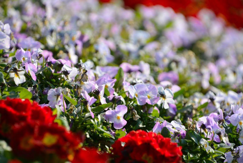 DSC_21070138.JPG