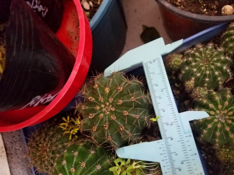 ΢��ͼƬ_20190124095926_����.jpg