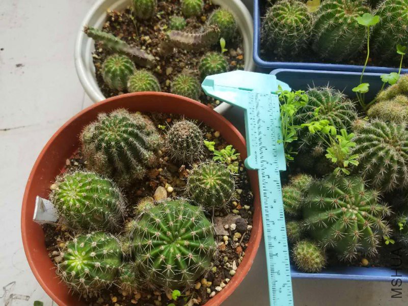 ΢��ͼƬ_201901240959266_����.jpg