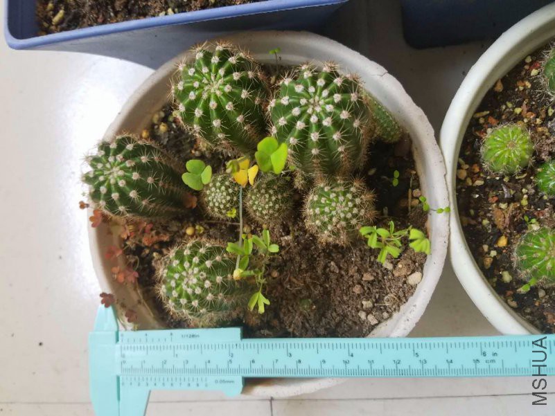 ΢��ͼƬ_201901240959269_����.jpg
