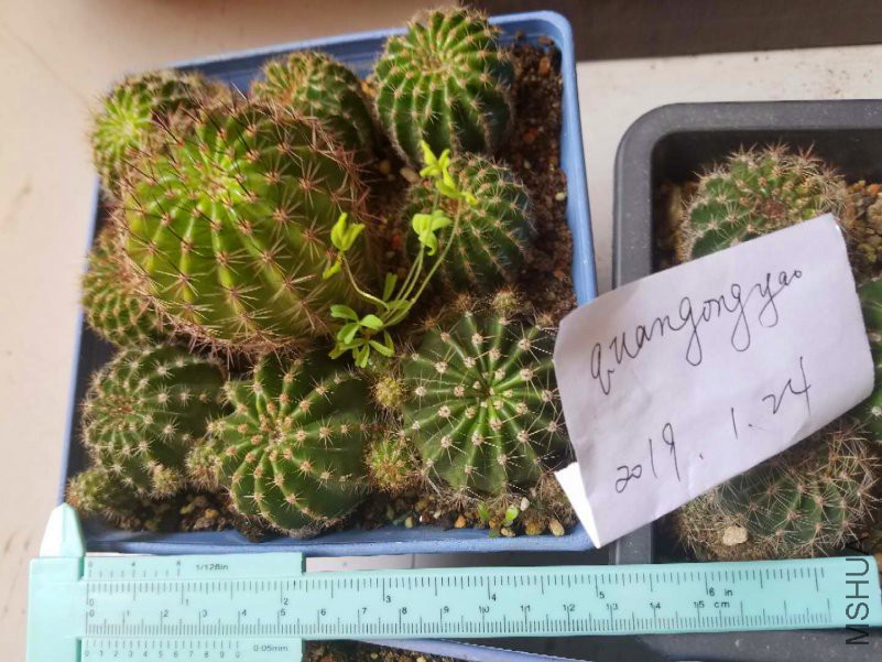 ΢��ͼƬ_2019012409592613_����.jpg