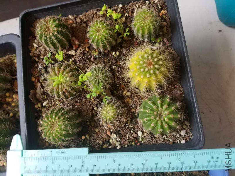 ΢��ͼƬ_2019012409592616_����.jpg