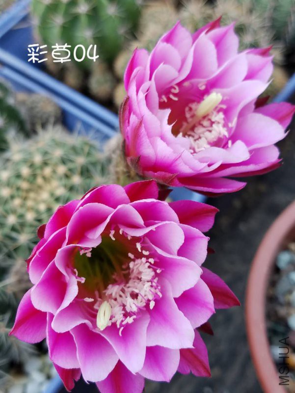 ΢��ͼƬ_201901241203065.jpg