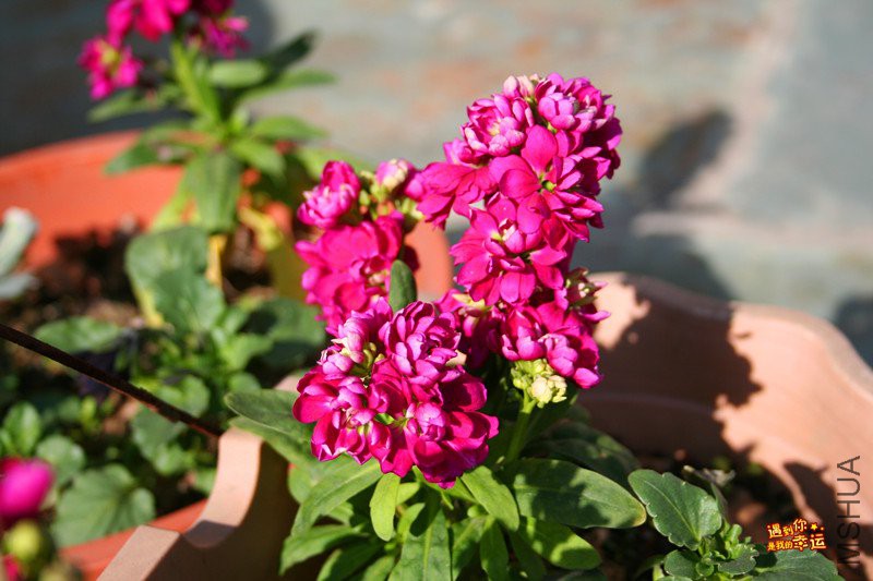 ��Ƭ 102_����.jpg