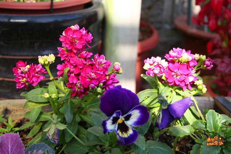 ��Ƭ 104_����.jpg