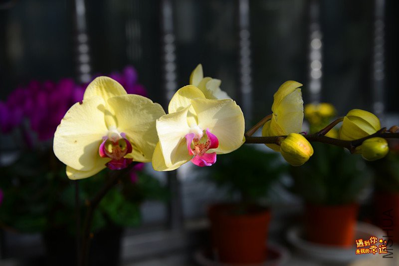 ��Ƭ 034_����.jpg