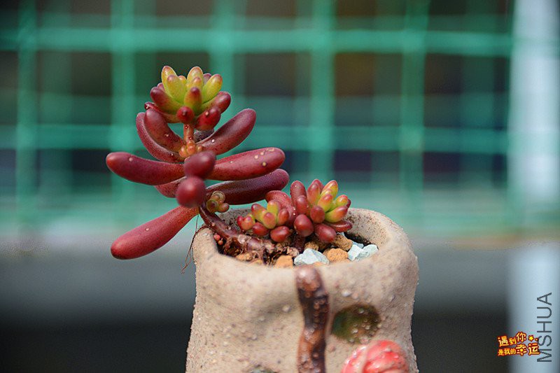 ��Ƭ 116_����.jpg