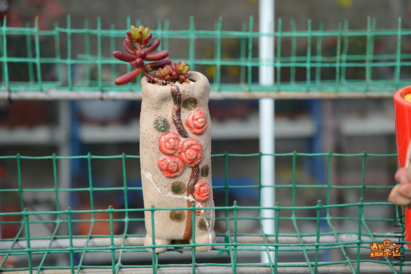 ��Ƭ 114_����.jpg