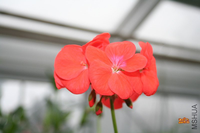 ��Ƭ 047_����.jpg